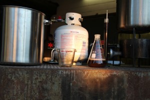 Our Latest Brew