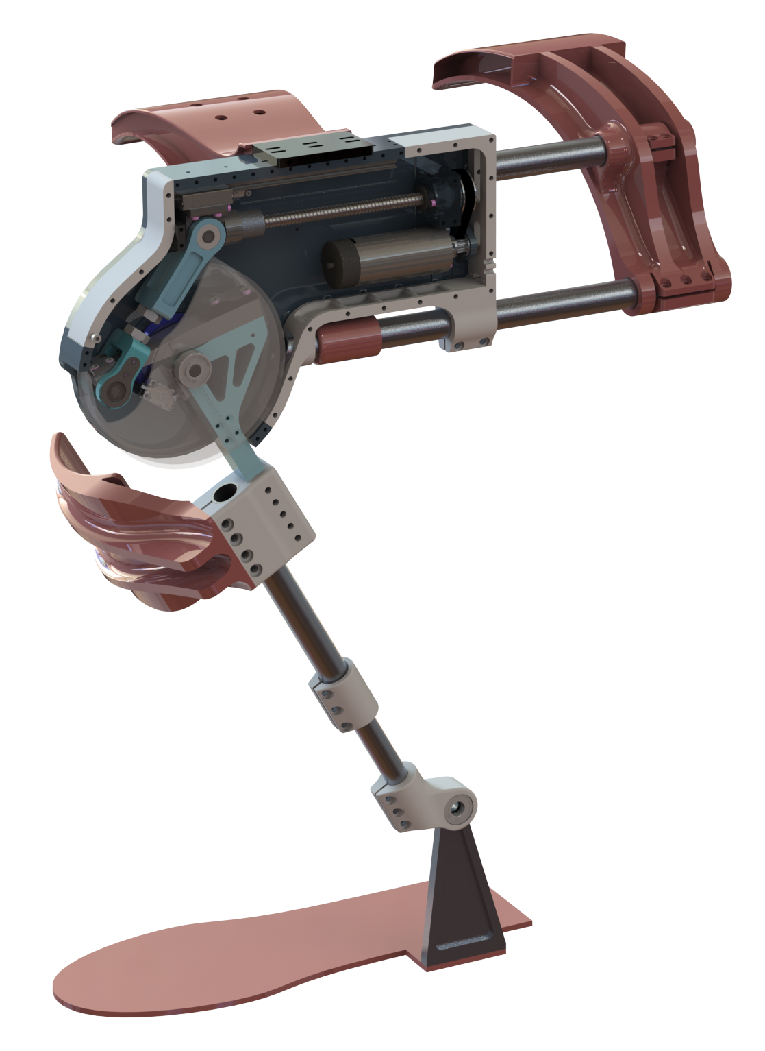 knee-exoskeleton